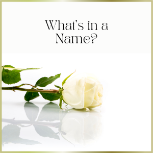 Women's Cannabis Chamber of Commerce